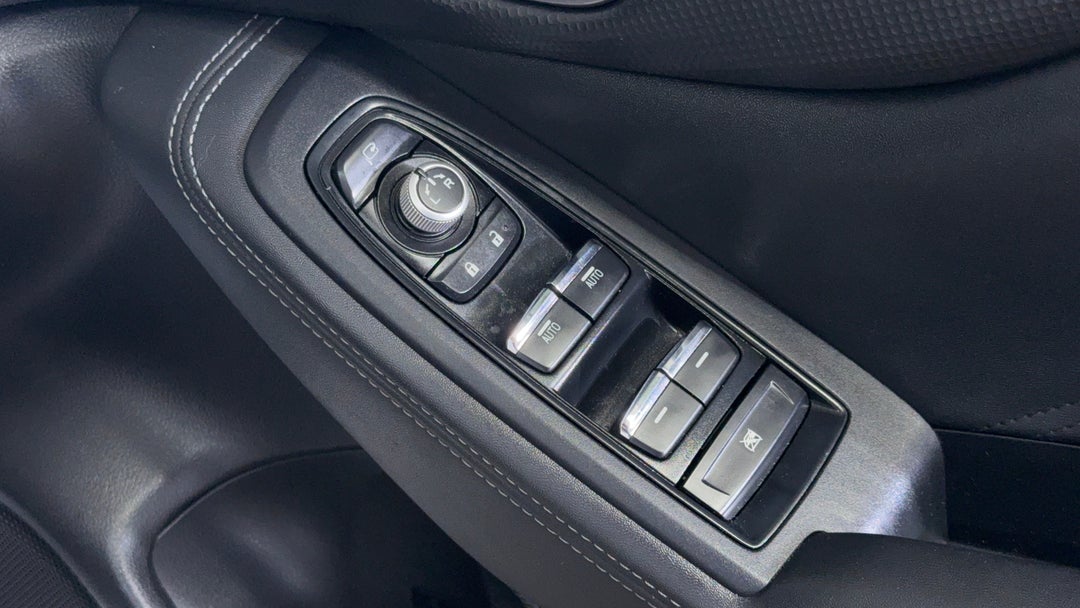 Drivers Side Door Panel Controls