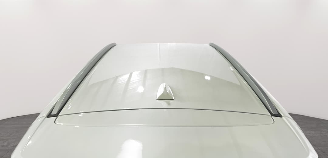 Roof/Sunroof View
