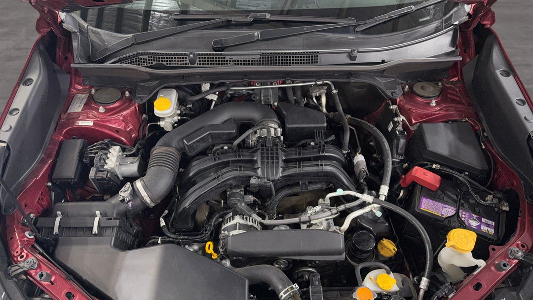 Open Bonnet (Engine)