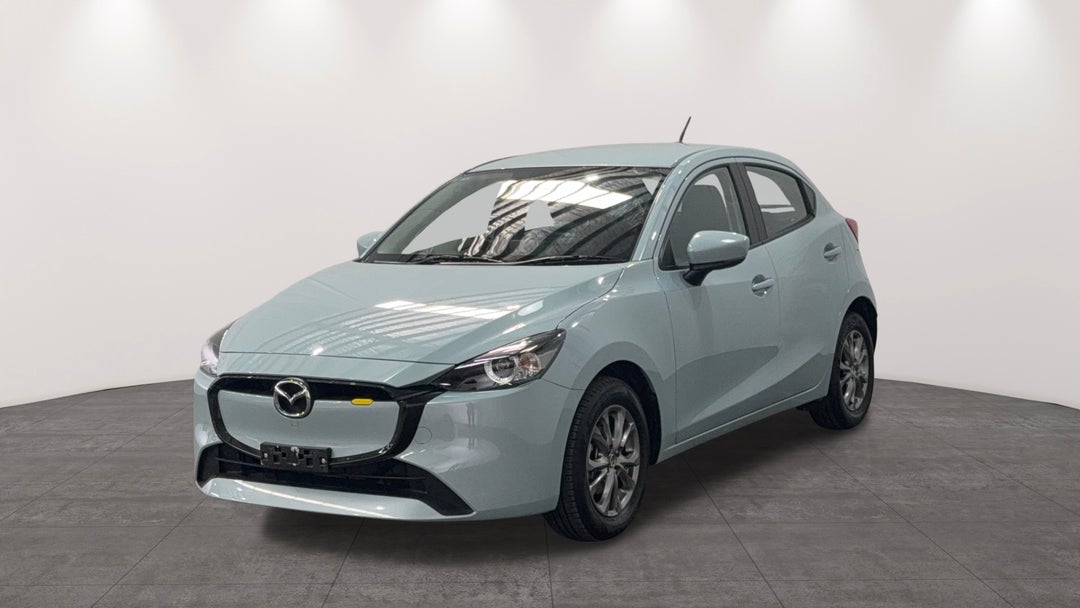 Left Front Diagonal (45- Degree) View