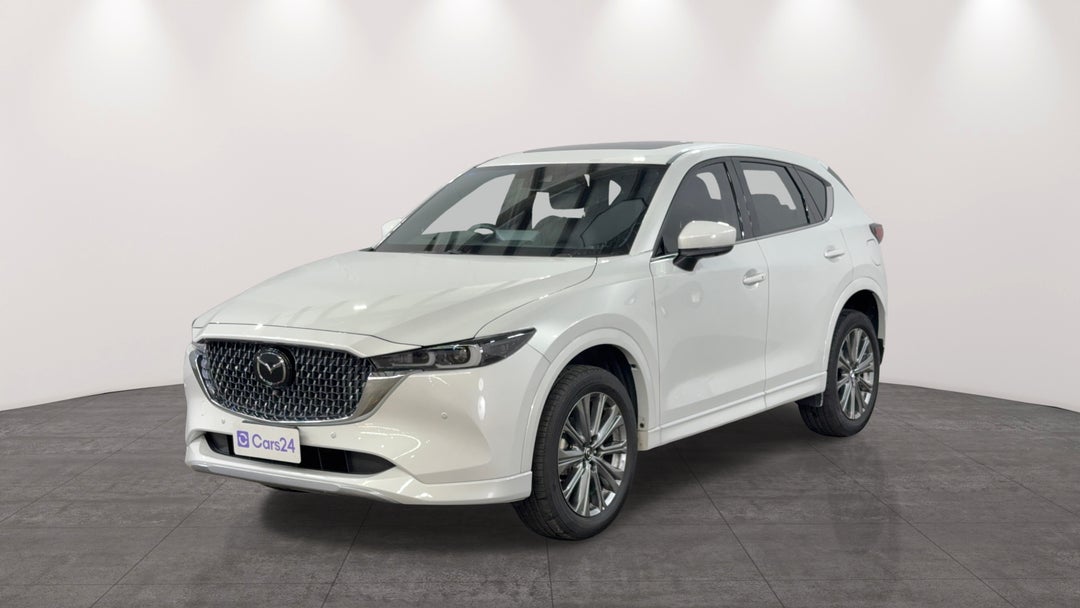 Left Front Diagonal (45- Degree) View