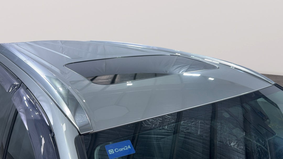 Roof/Sunroof View