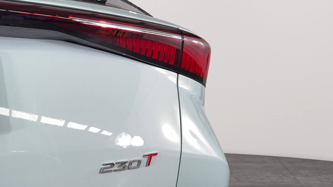 Badge (Boot Right Side)