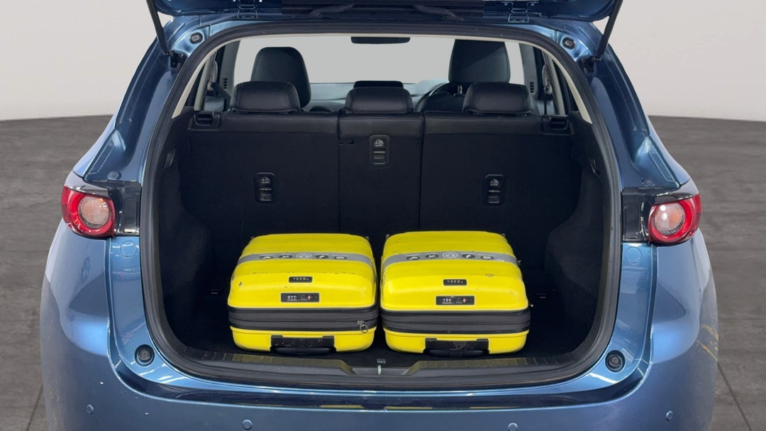 Boot Inside View with Luggage