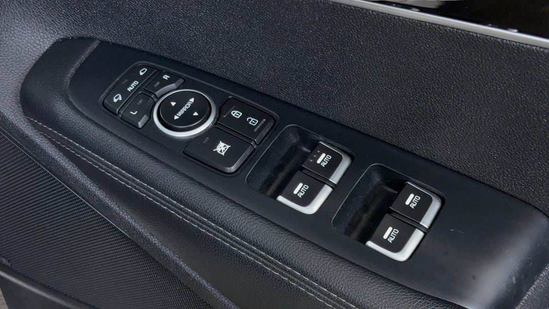 Drivers Side Door Panel Controls