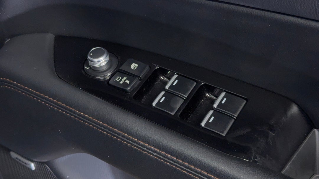 Drivers Side Door Panel Controls