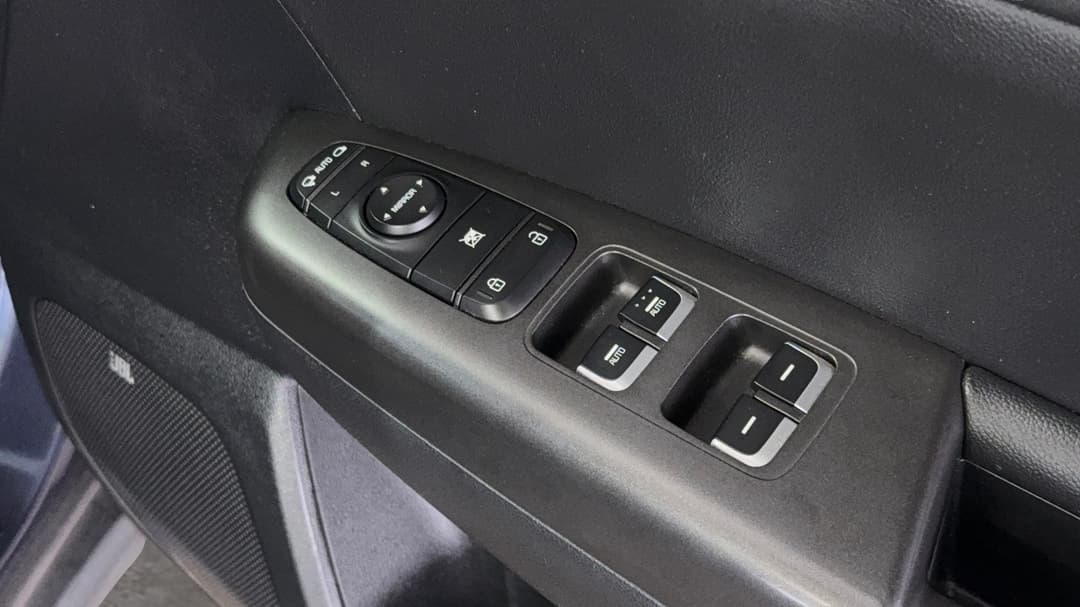 Drivers Side Door Panel Controls