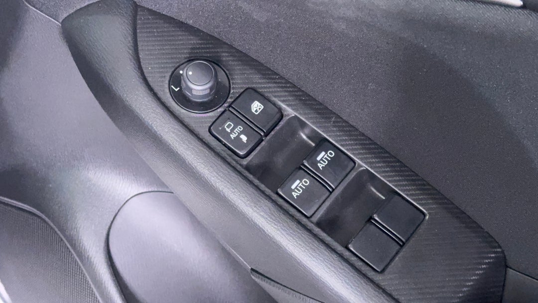 Drivers Side Door Panel Controls
