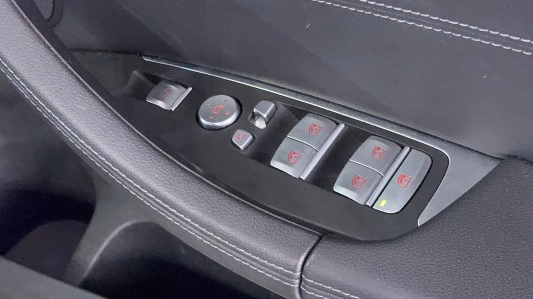 Drivers Side Door Panel Controls