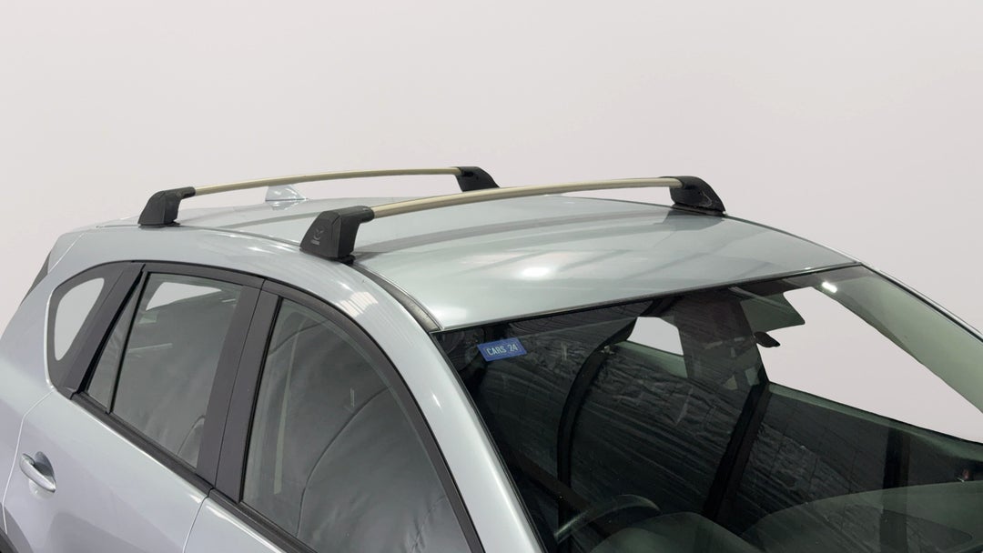 Roof/Sunroof View