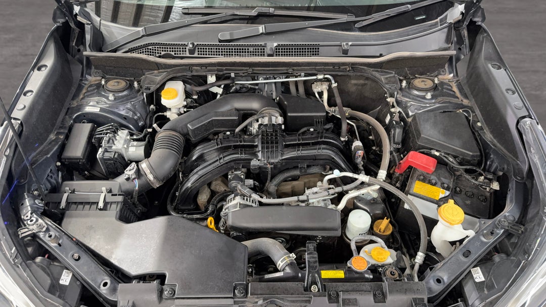 Open Bonnet (Engine)