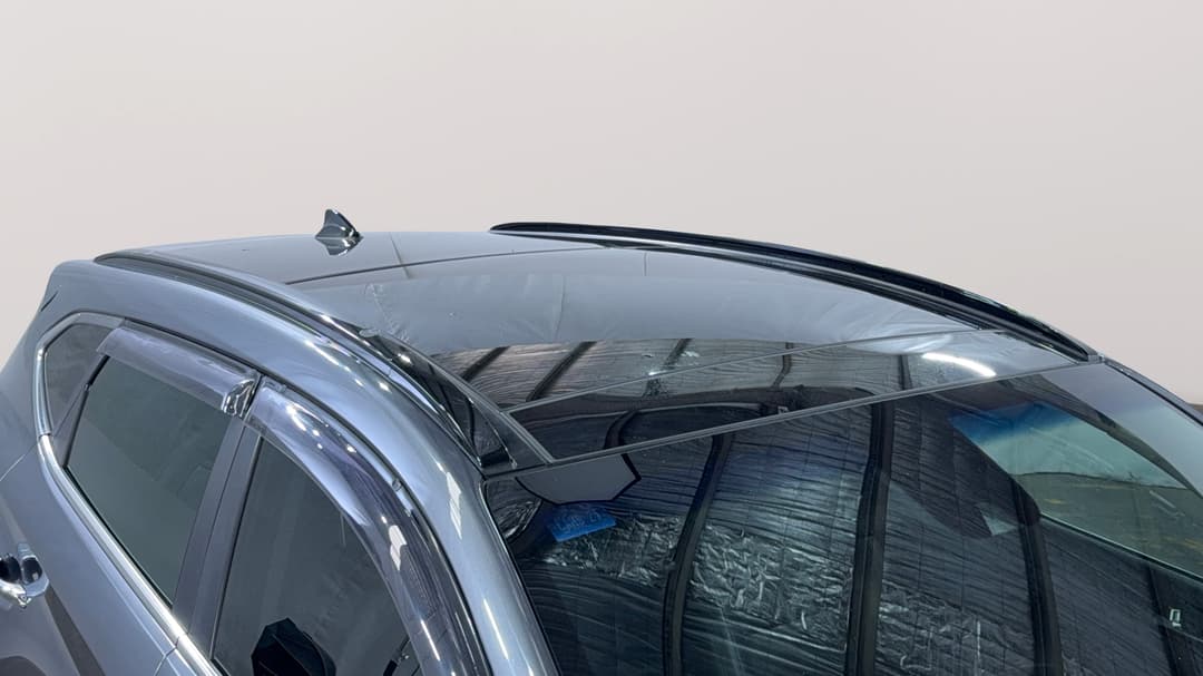 Roof/Sunroof View
