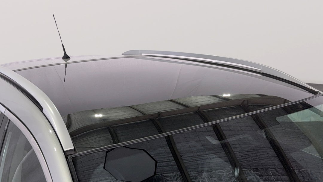 Roof/Sunroof View