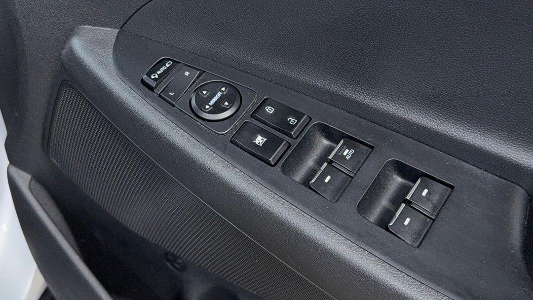 Drivers Side Door Panel Controls