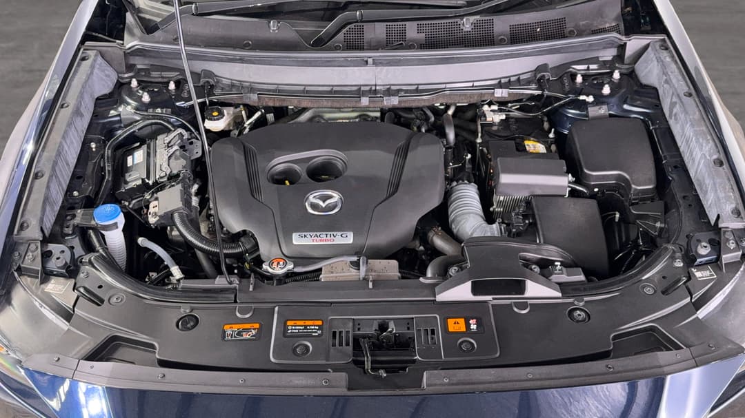Open Bonnet (Engine)