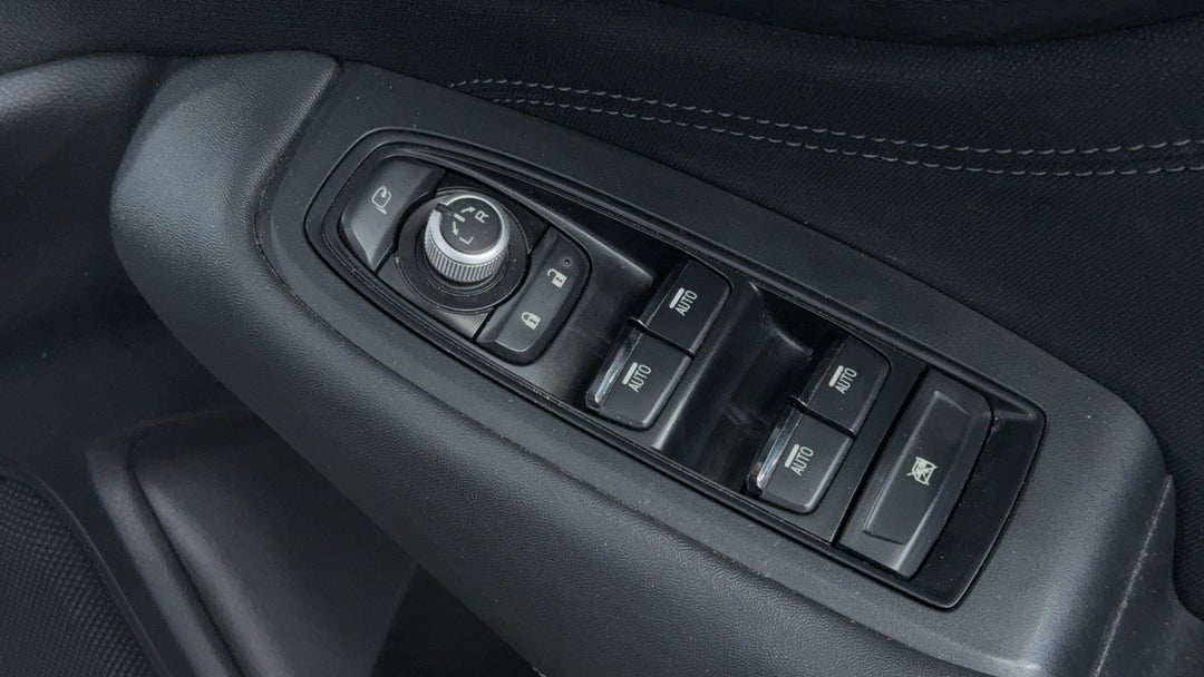 Drivers Side Door Panel Controls