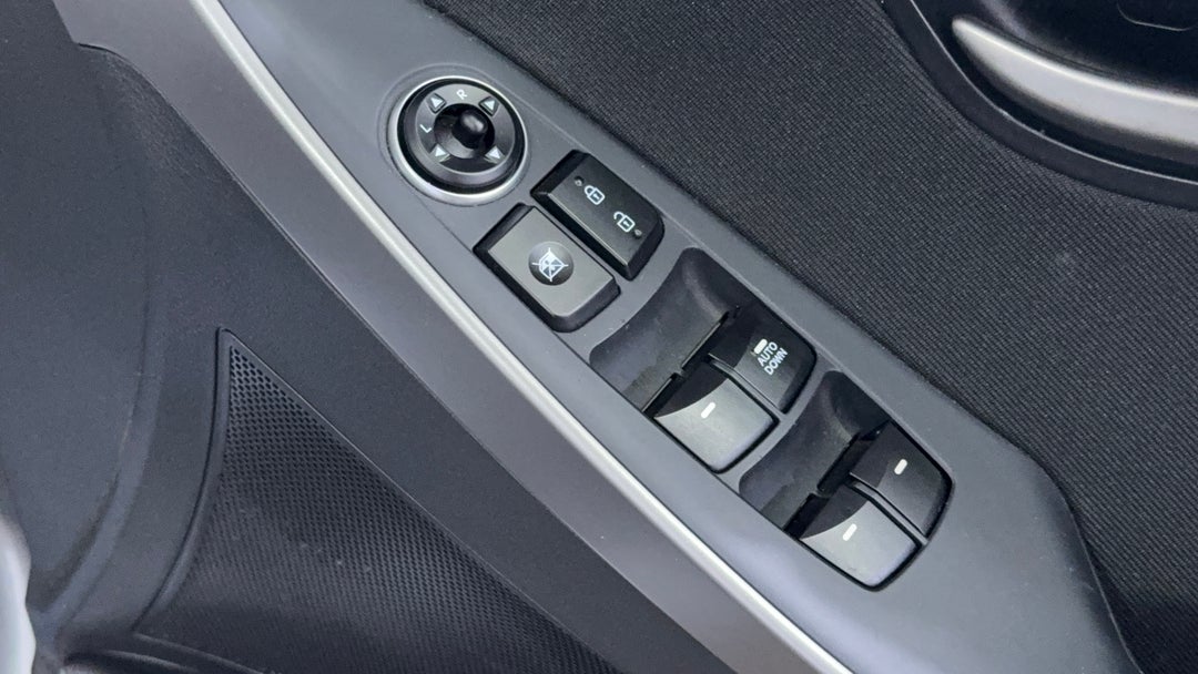 Drivers Side Door Panel Controls