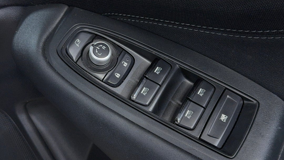 Drivers Side Door Panel Controls
