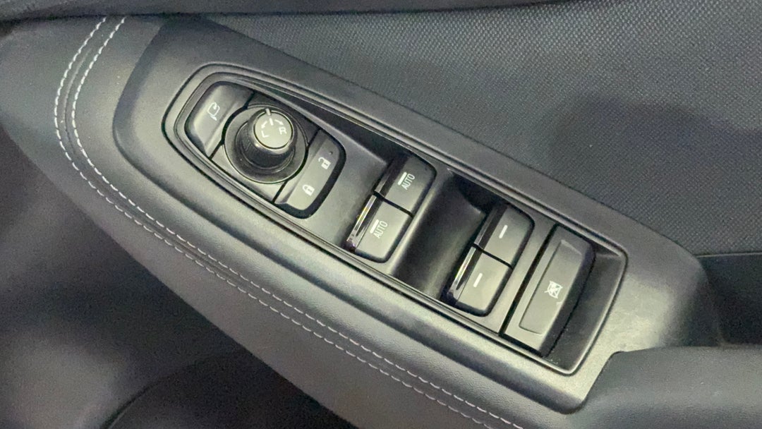 Drivers Side Door Panel Controls