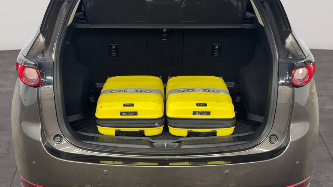 Boot Inside View with Luggage