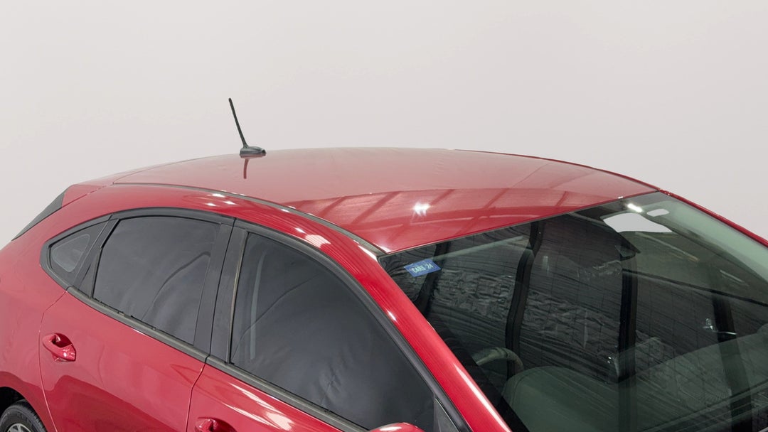 Roof/Sunroof View