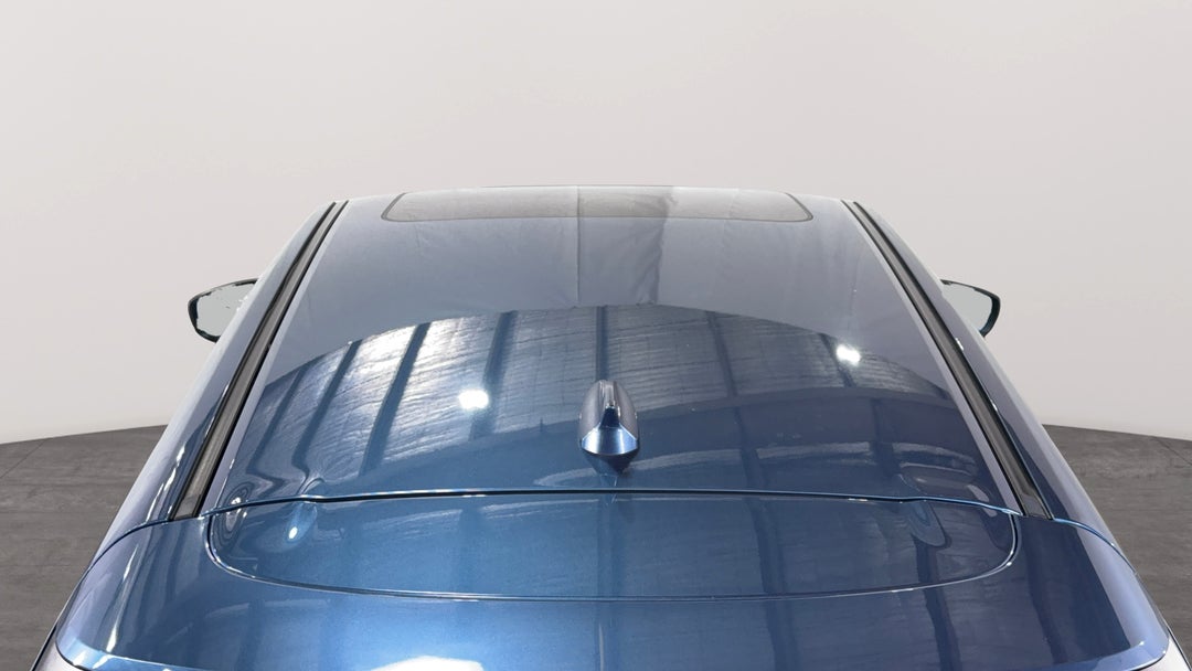 Roof/Sunroof View