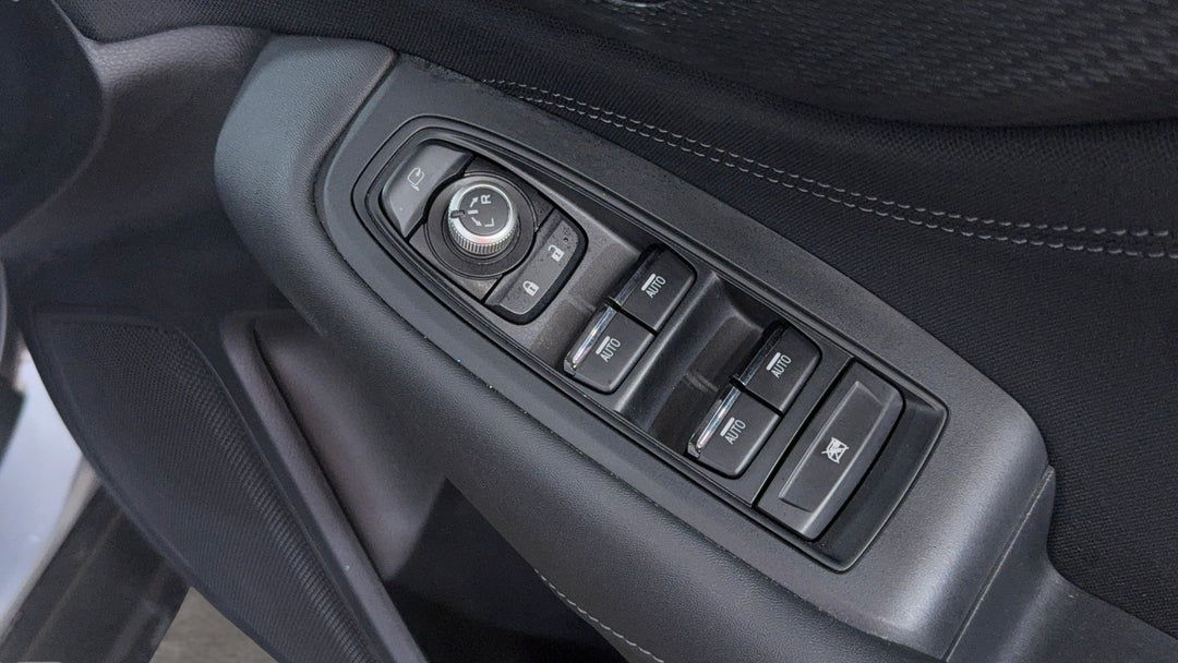 Drivers Side Door Panel Controls