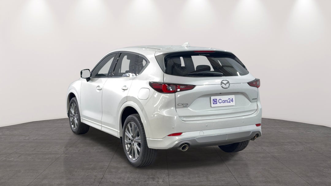 Left Back Diagonal (45- Degree) View