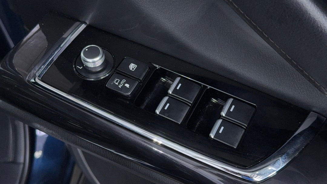 Drivers Side Door Panel Controls