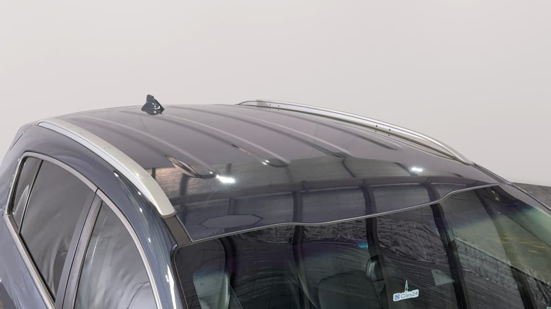 Roof/Sunroof View