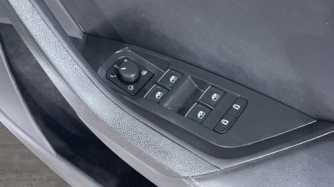 Drivers Side Door Panel Controls