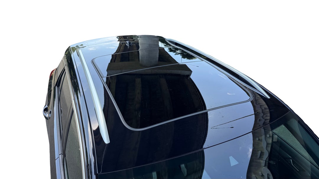 Roof/Sunroof View