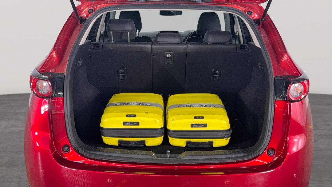 Boot Inside View with Luggage