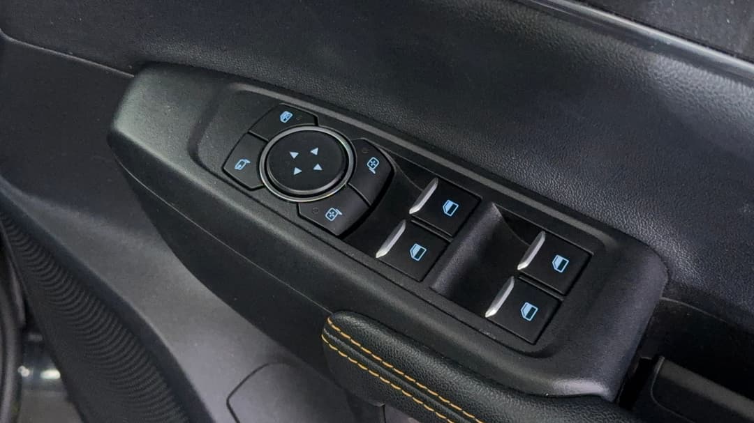Drivers Side Door Panel Controls
