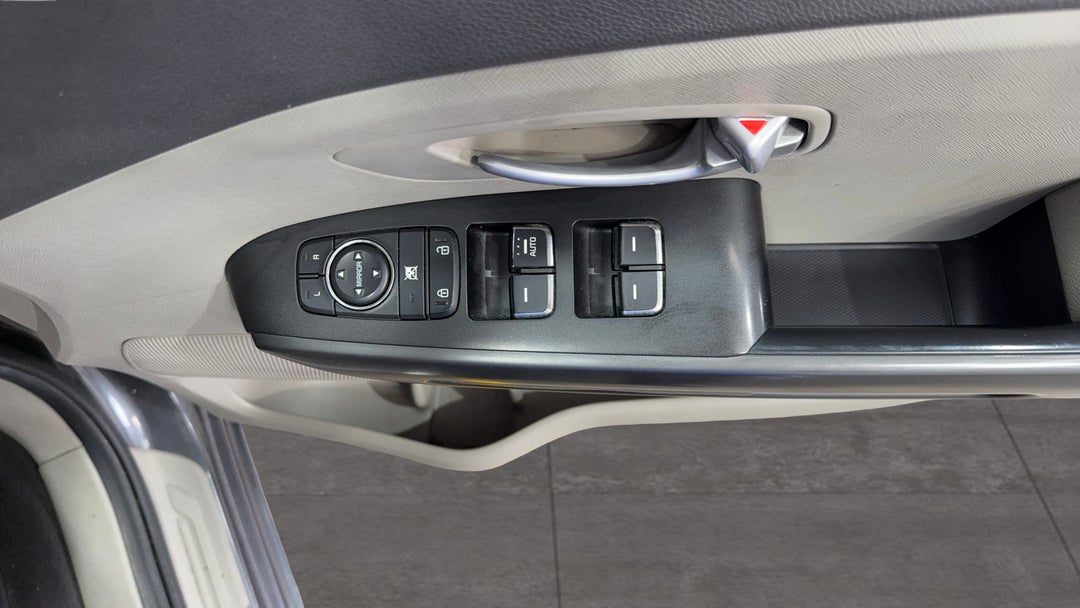 Drivers Side Door Panel Controls