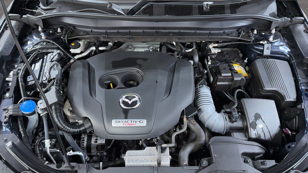 Open Bonnet (Engine)