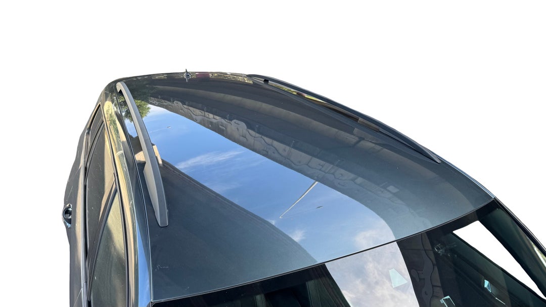 Roof/Sunroof View