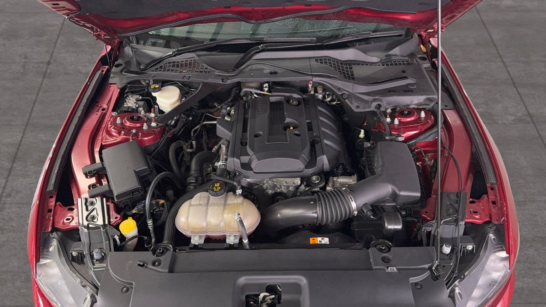 Open Bonnet (Engine)