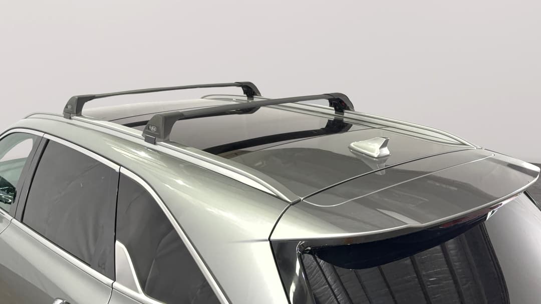 Roof/Sunroof View