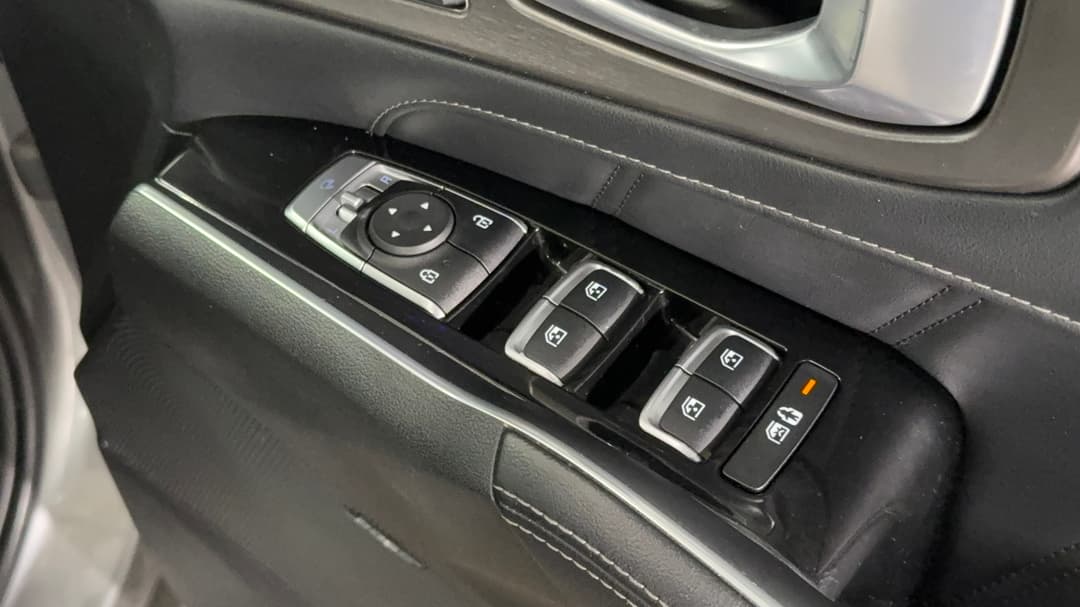 Drivers Side Door Panel Controls