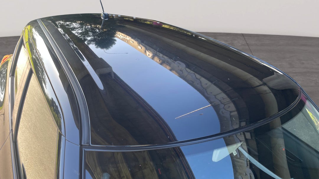 Roof/Sunroof View