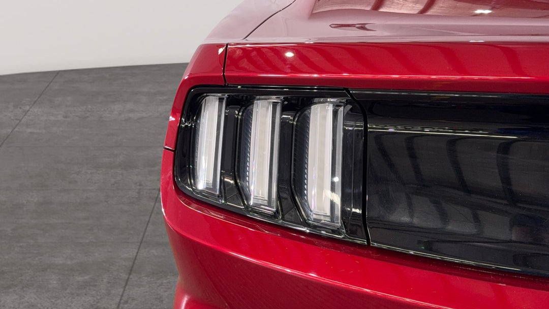 Badge (Boot Left Side)