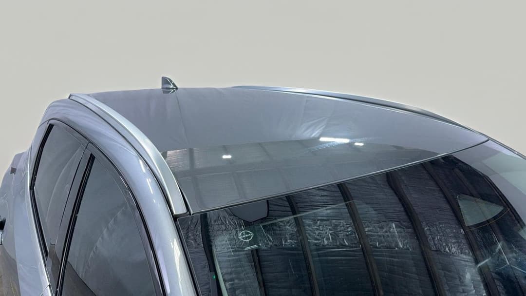 Roof/Sunroof View