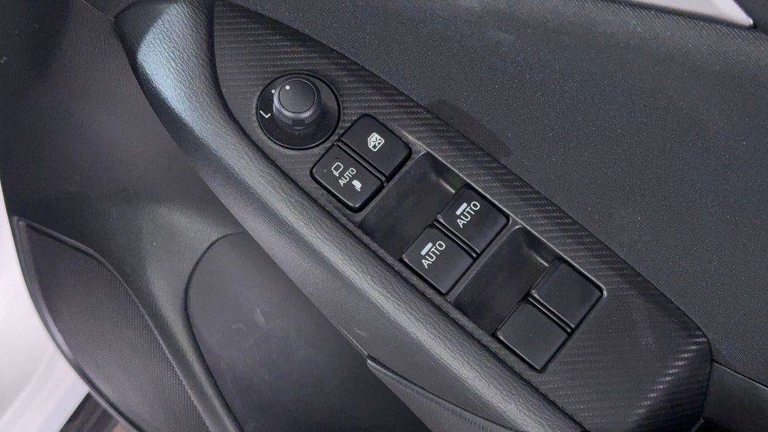 Drivers Side Door Panel Controls
