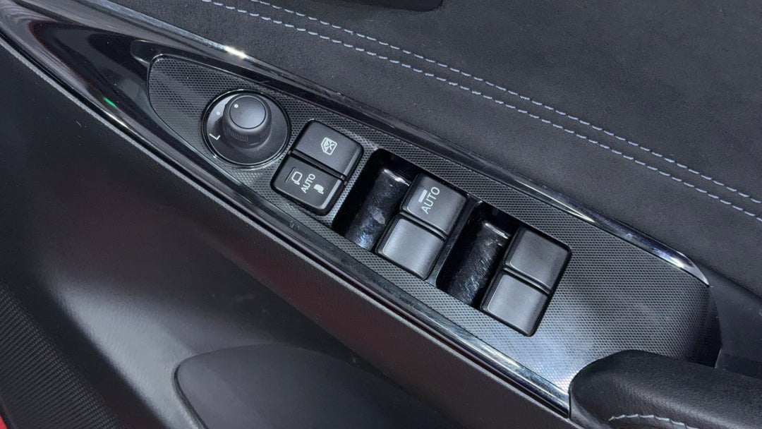 Drivers Side Door Panel Controls