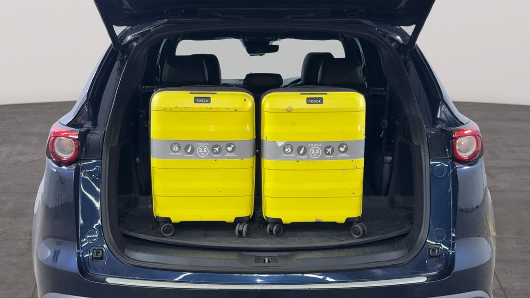 Boot Inside View with Luggage