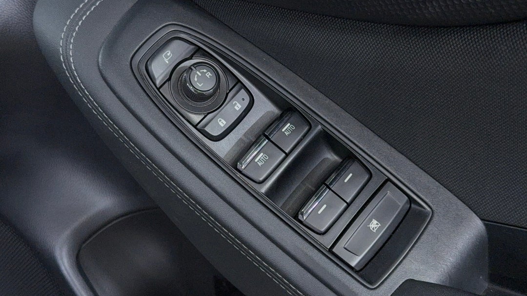 Drivers Side Door Panel Controls