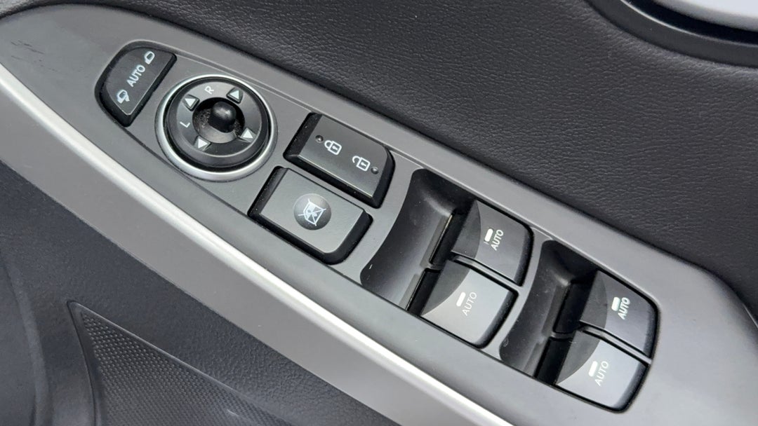 Drivers Side Door Panel Controls