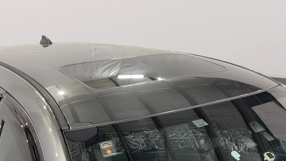Roof/Sunroof View