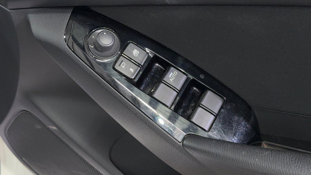 Drivers Side Door Panel Controls